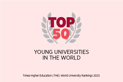 Young universities