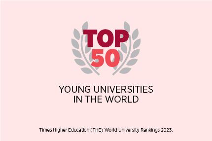 Young universities